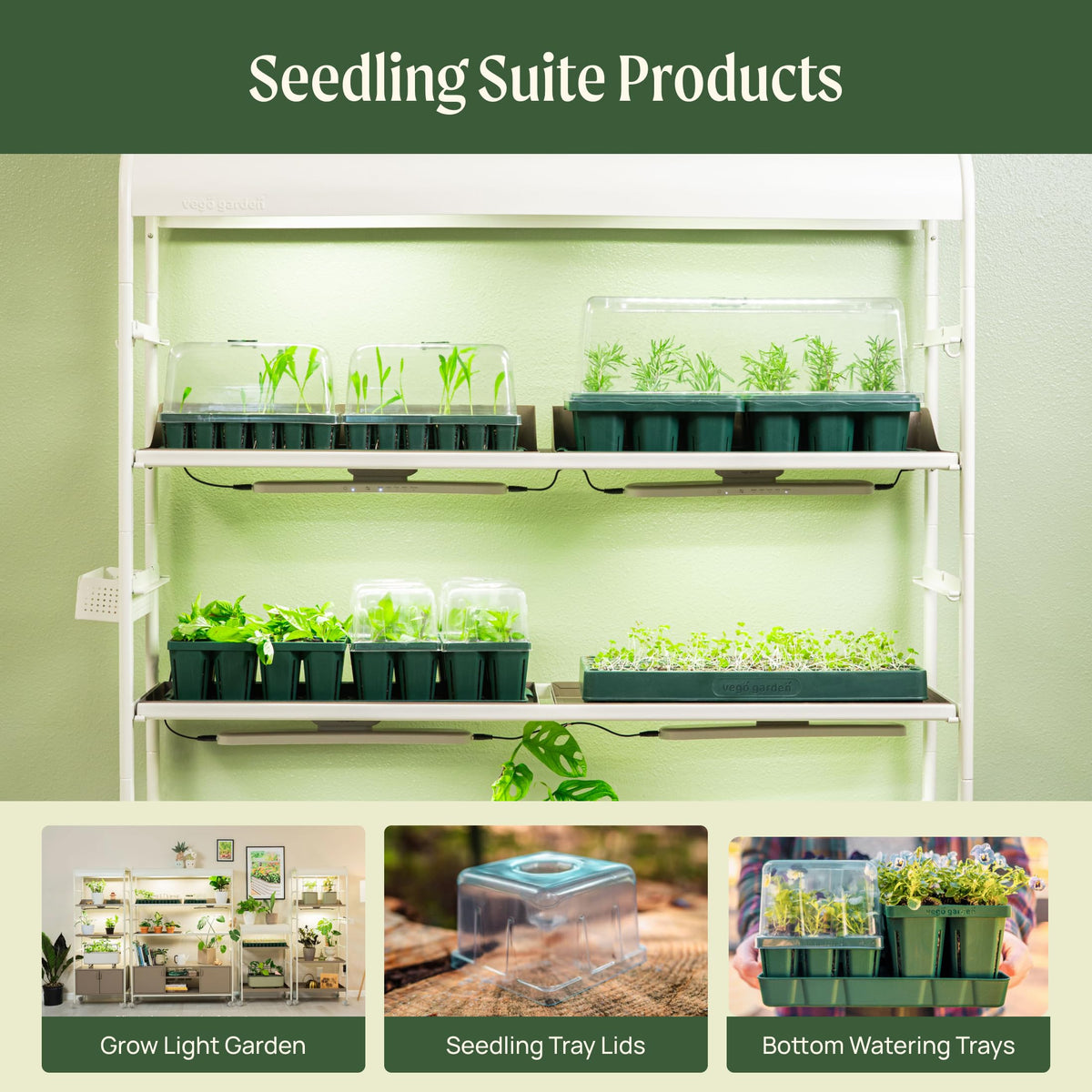 Vego garden 10" x 20" 76 Cells Seed Starter Tray Stackable Seedling Starting Germination Trays for Plants Planting Vegetables Herbs Flowers, 3 Sets