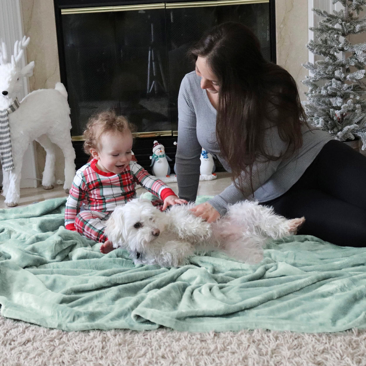 Bedsure Fleece Blanket Twin Size (Beige & Sage Green)