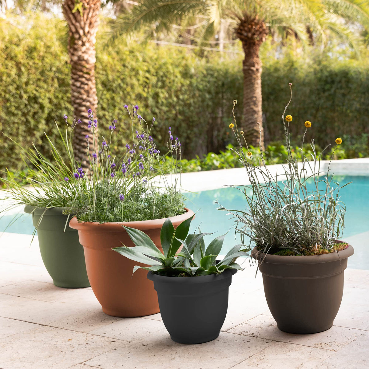 Bloem Ariana Self Watering Planter: 16" - Chocolate - Durable Resin Pot, for Indoor and Outdoor Use, Self Watering Disk Included, Gardening, 6 Gallon Capacity