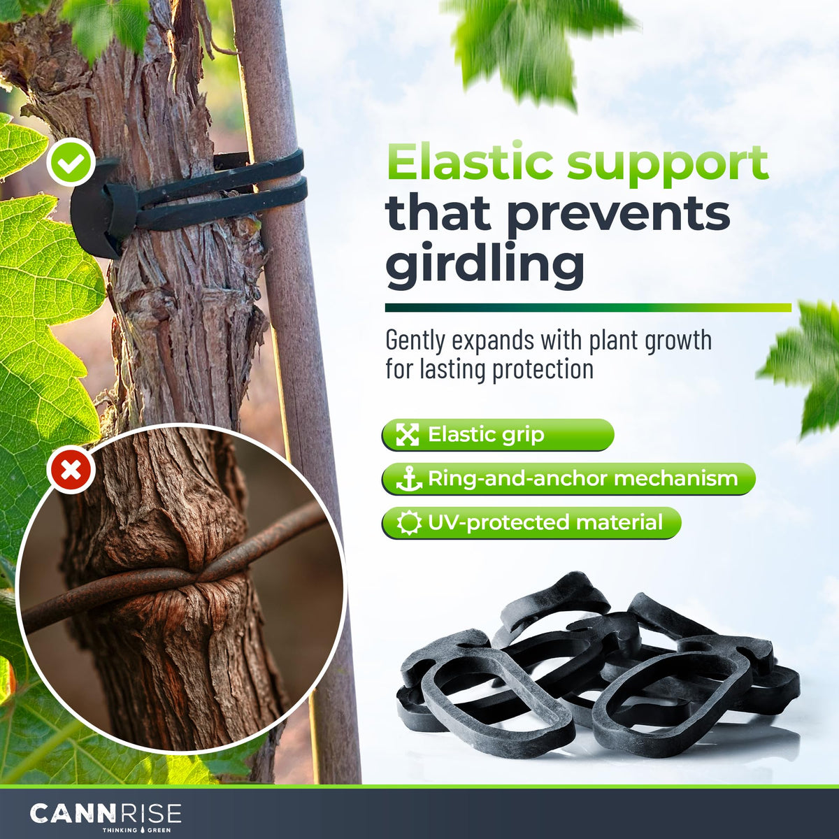 Anchor Bands for Trellising - 33-Pack 12 cm/4.72 in Rubber Vine Ties, UV-Protected Bands: Grapevines, Trees & Climbing Plants – Tool-Free Loop-and-Anchor Design for Install, Weatherproof