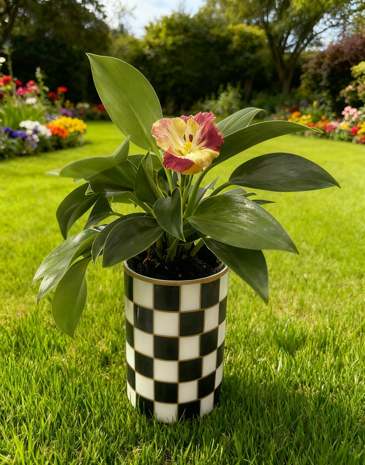 Porlien Ceramic Checker Plant Pots Indoor with Drainage, Set of 2