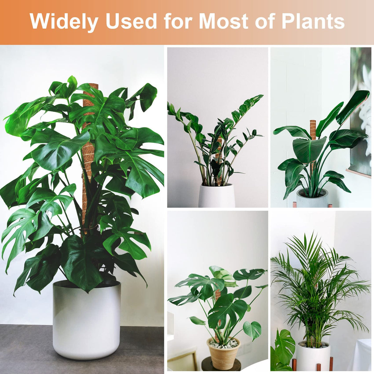 JJGoo Moss Pole for Plants Monstera,【6 Pack】 17 inch Plant Support Pole, Extendable Coir Totem Pole for Potted Plants Pothos, Train Indoor Climbing Plants to Grow Upwards