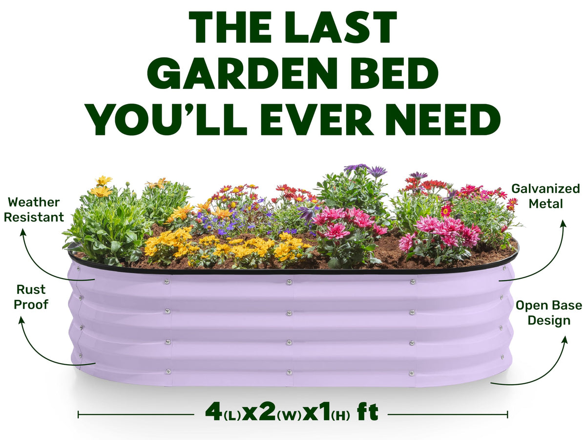 Plant & Plot Galvanized Raised Garden Beds Outdoor // 4×2×1 ft Planter Raised Beds for Gardening, Vegetables, Flowers // Large Metal Garden Box (Lavender)