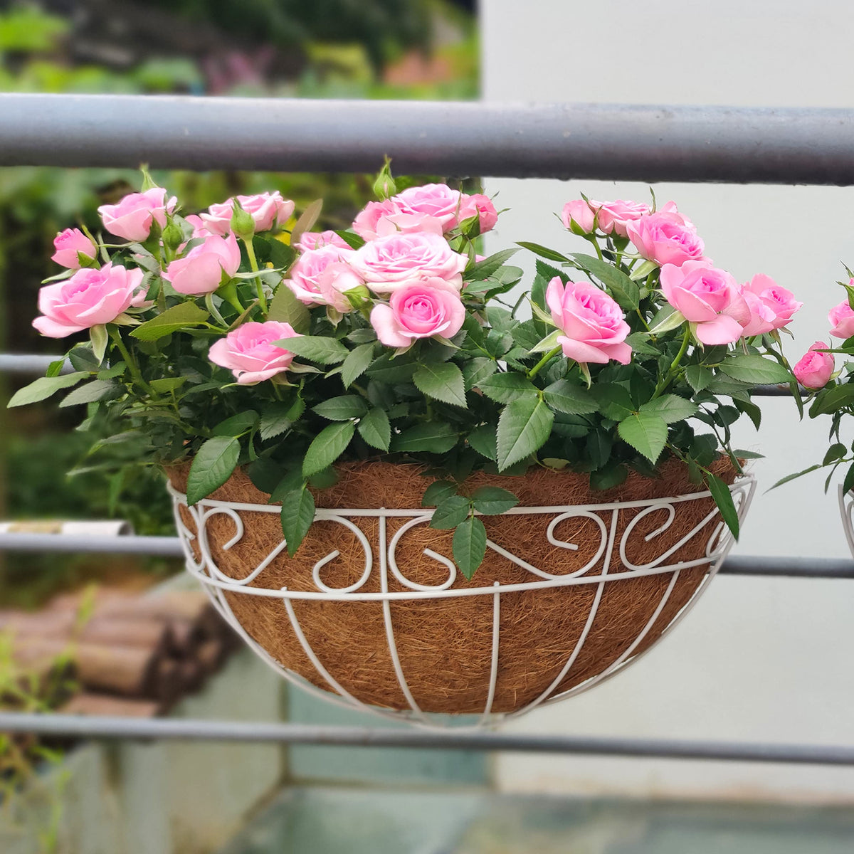 LaLaGreen Wall Mounted Flower Baskets (2 Pack, 16 Inch) Extra Large Deck Rail Hanging Planters with Coco Liner for Outdoor Plants White Metal Wire Herb Pots Holder Fence Railing Porch Patio Garden