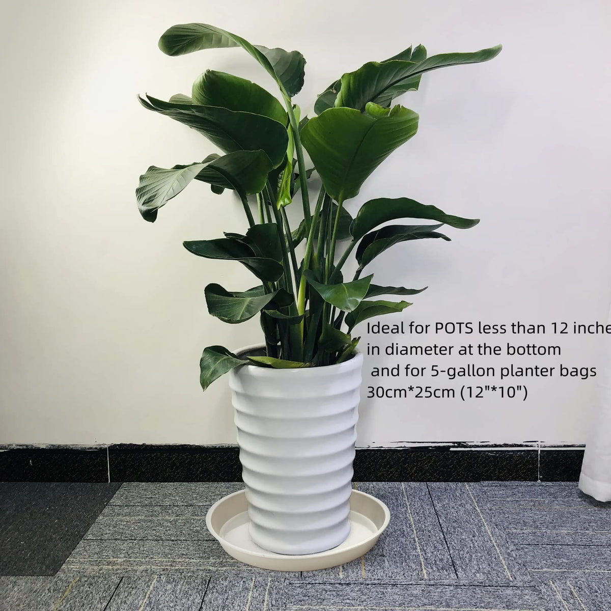 GRESPRI 14-Inch White Plant Saucers for Indoors,5 Packs Sturdy Plastic Plant Trays for Pots Up to 12" Base.14-Inch Flower Pot Saucers for Outdoors.