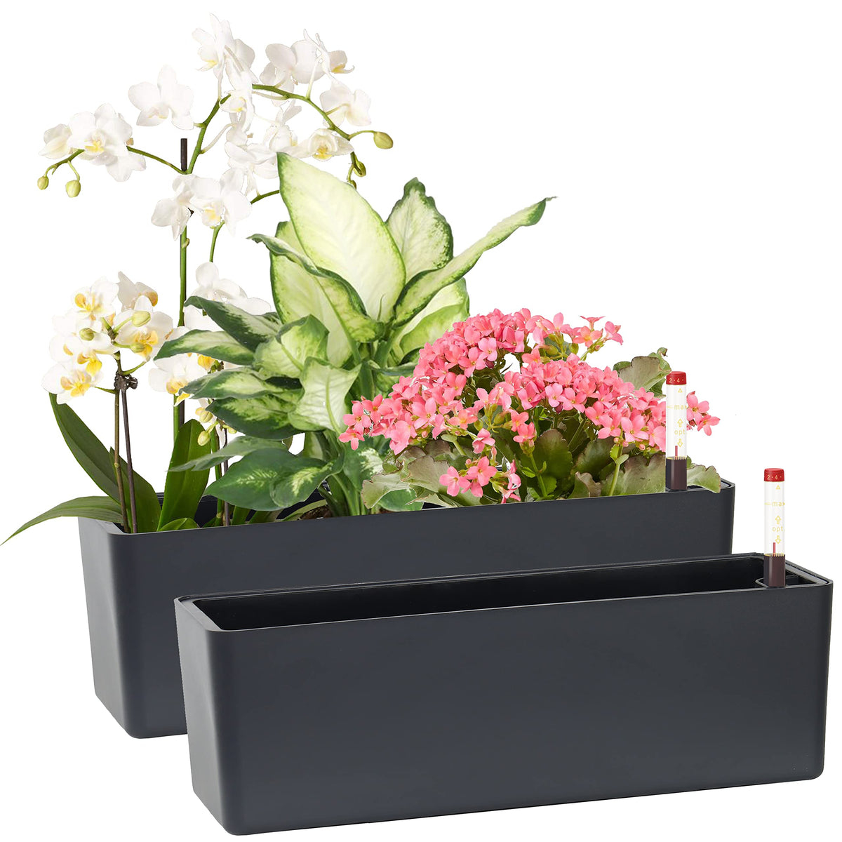 GardenBasix Elongated Self Watering Planter Pots 2-Pack Window Box 5.5 x 16 inch Indoor Home Garden Modern Decorative Pot for All House Plants Flowers Herbs (Dark Grey,2)