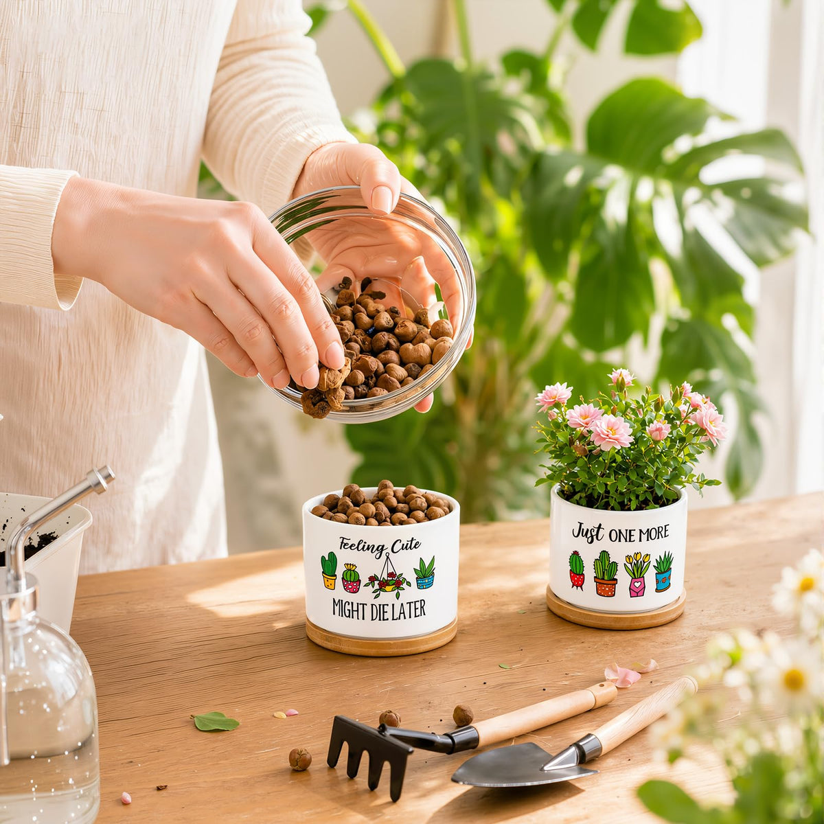 Acellegic 6 Pcs Funny Succulent Plant Pots with Bamboo Trays Mini Ceramic Flower Pots Cute Cactus Planters for Indoor Women Plant Lovers Nurse, Plants Not Included