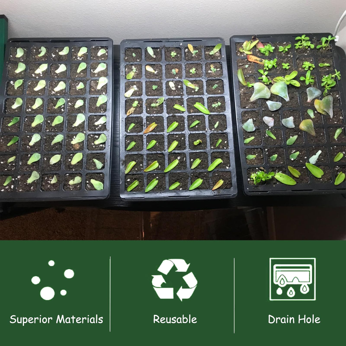 NICOLEKAY Seedling Trays Seed Starter Tray, 5-Pack Mini Propagator Plant Grow Kit Greenhouse with Humidity Vented Domes and Base for Seeds' Starting (40 Cells Per Tray, Total 200 Cells), Black