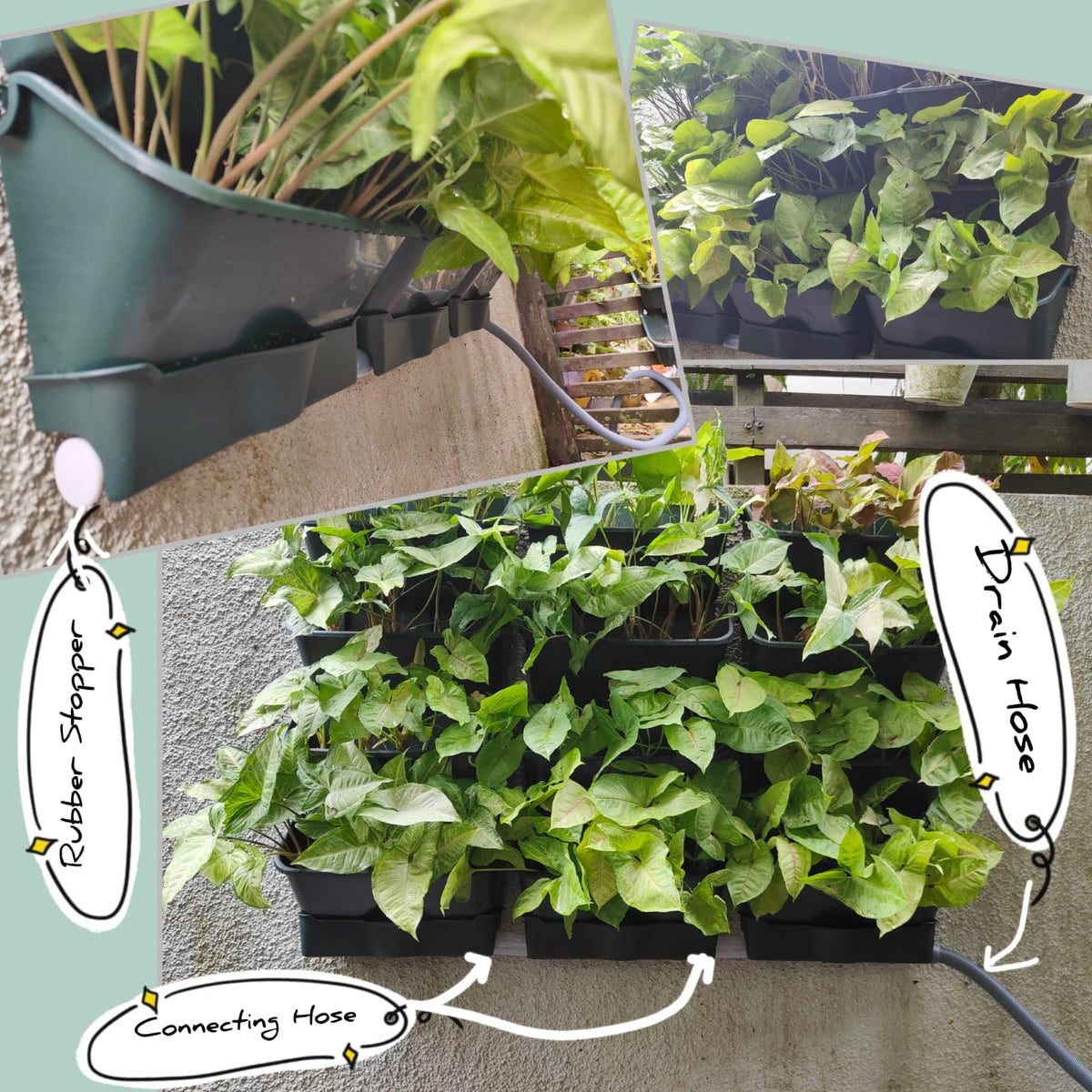 Maxona Vertical Wall Planter for Indoor Plant-Walls Mounted Pot with 2 Drainage Tray 8 Pack, 13 inch Dark Green for Indoors and Outdoor Decor, Plastic Pots Balcony Planters, Plants Hanging