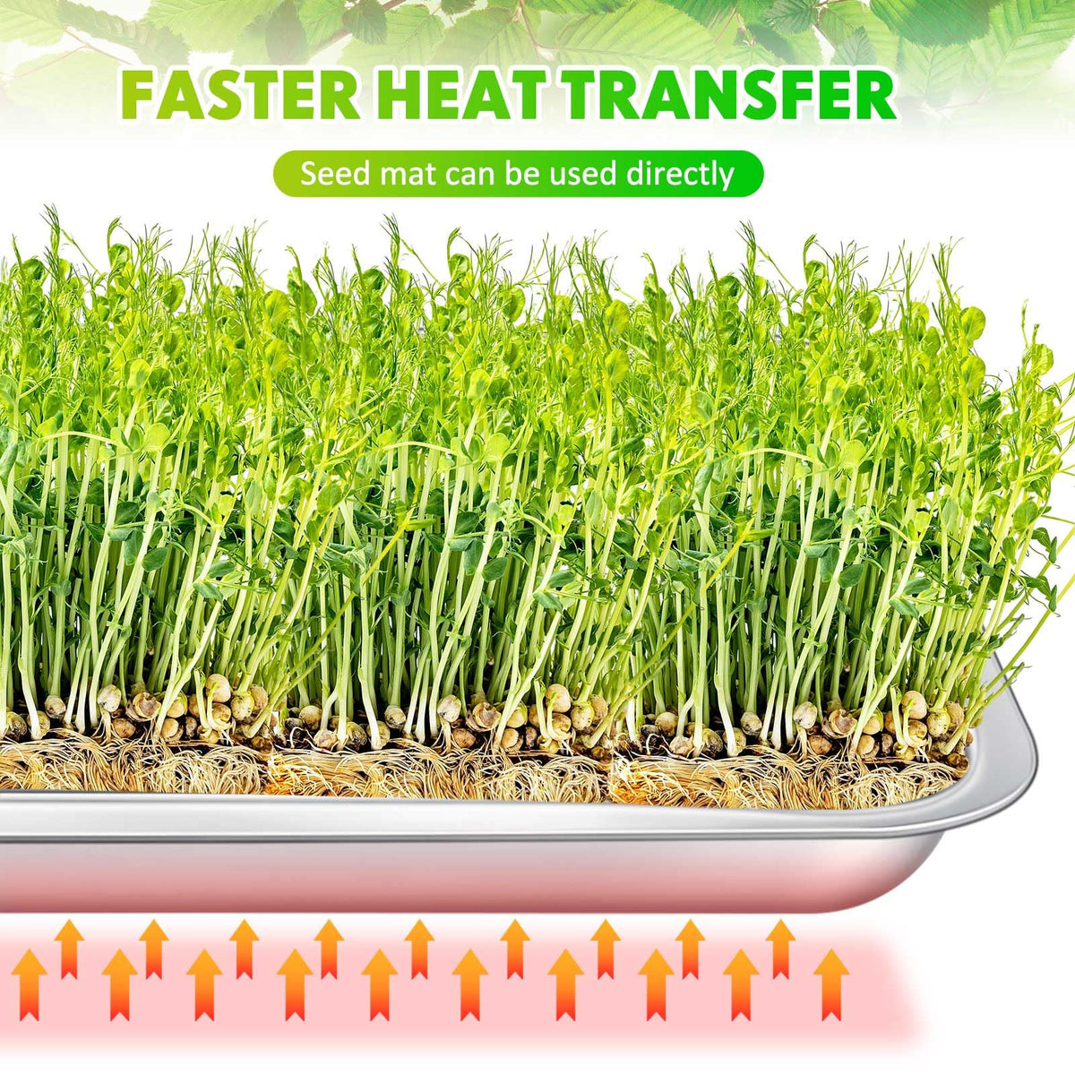 FillTouch 10 Pcs Stainless Steel Seed Starter Tray, Stainless Metal Garden Trays, Nursery Seedling Pots for Collection Transplantation & Propagation Flats, No Drain Holes(15.8 x 11.8 x 1.4 Inch)