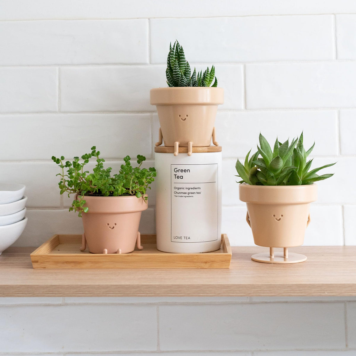 Cute Indoor Plant Pots Set of 3, Unique Plastic Succulent Pots for Plant Lovers (Plants NOT Included)