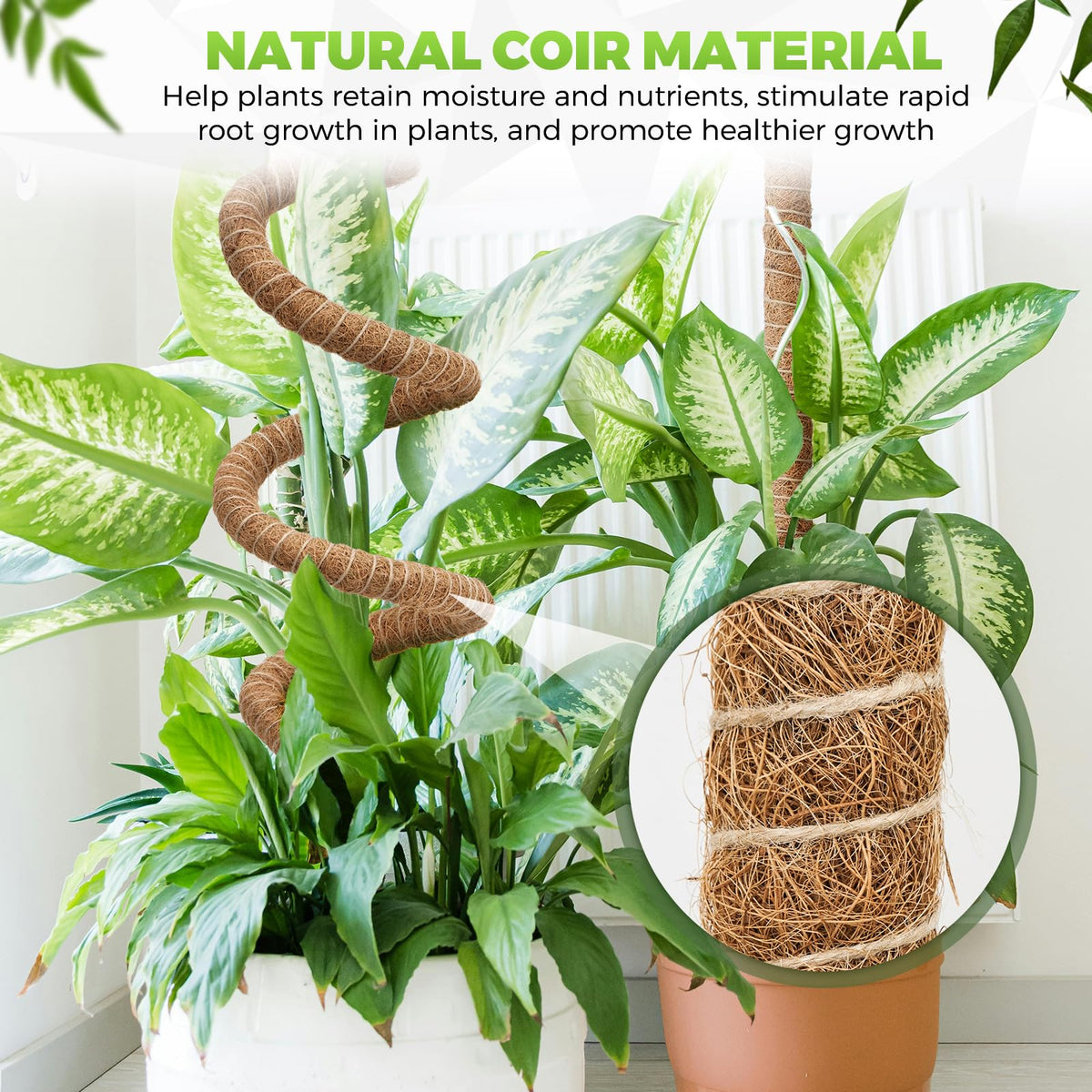 2 Pack Moss Pole Monstera Plant Support 63 Inch Bendable Monstera Support for Climbing Plants Extra Large Handmade Moss Poles Aluminum Plant Support Stakes Indoor Grow Upwards