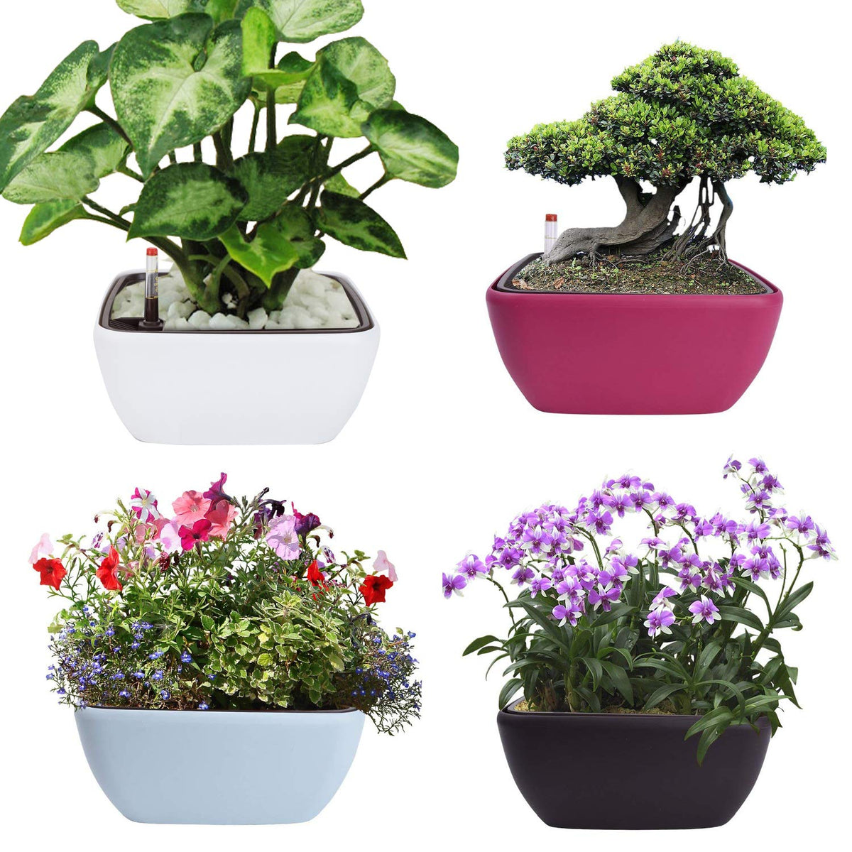 Vencer 10.8 Inch Plastic Square Self Watering Planter,Water Indicator,Ceramsite,Modern Decorative Planter Pot for All House Plants Flowers,Herbs,Vegetables,Tropical,Rose Red,VF-049R