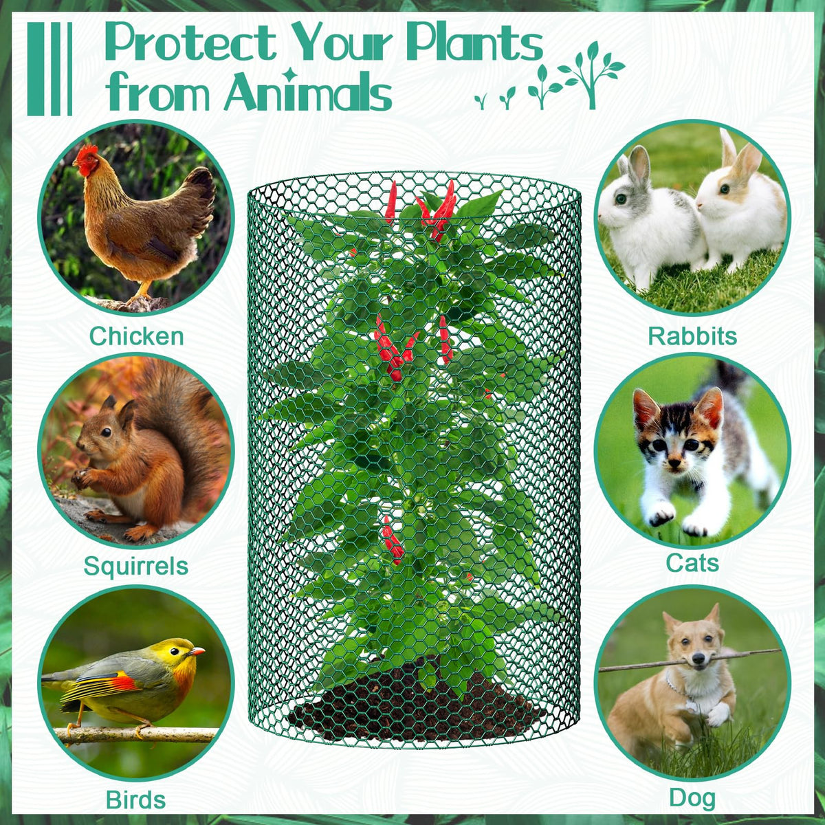 32.8ftx24In Plant Protectors from Animals,Plant Cages for Outdoor Plants,Wire Plant Protector Cage,Wire Plant Protector,Chicken Wire Cloche with Ground Stakes & Nylon Ties Protect Plants from Animals