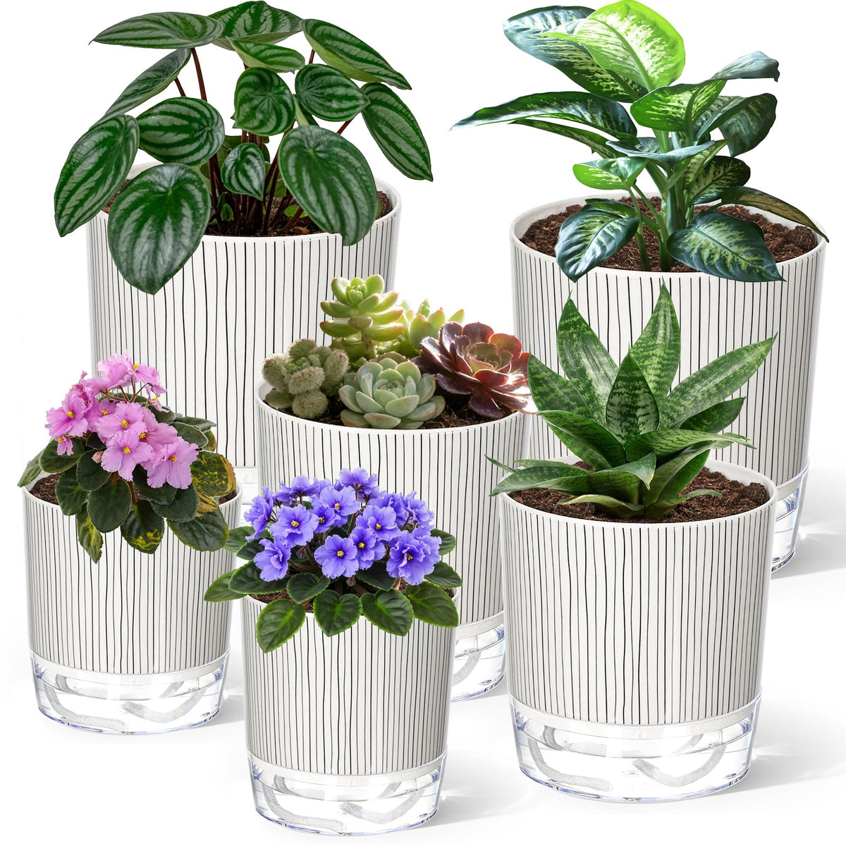 Samhe 6 Pack Self Watering Pots for Indoor Plants, 4+5.5+6.3 Inch Self Watering Plant Pots Set, Flower Pots with Wick Rope and Reservoir for African Violet, Spider Plant, Orchid
