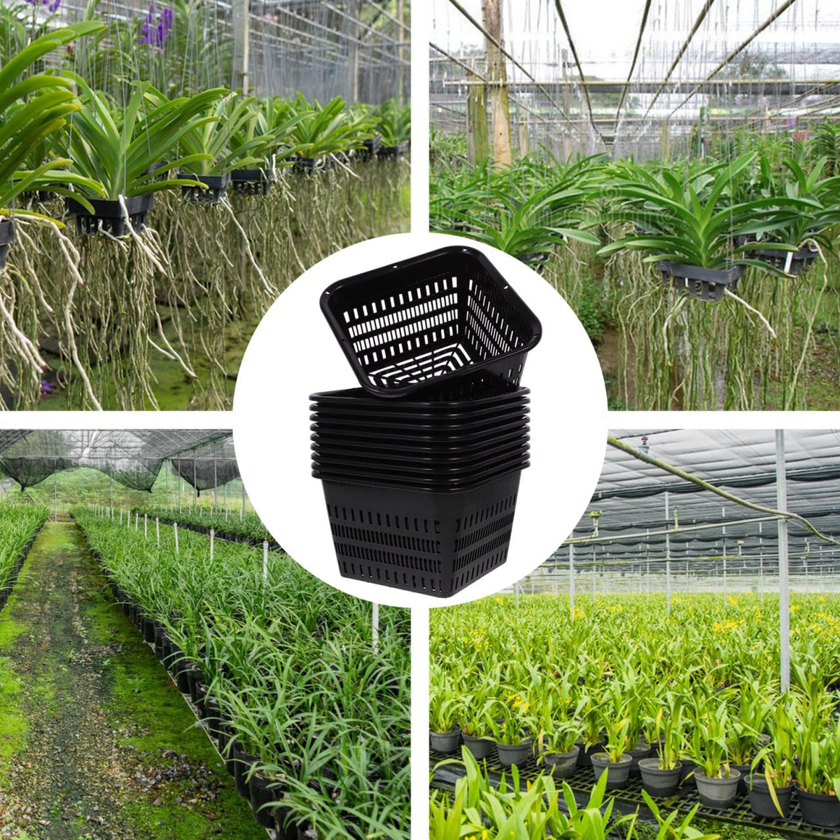 Hemoton Pond Plant Baskets, Heavy Duty Plastic Mesh Net Pots for Aquatic Plant Pot and Hydroponic Baskets in Aquarium Container, 10 Pack