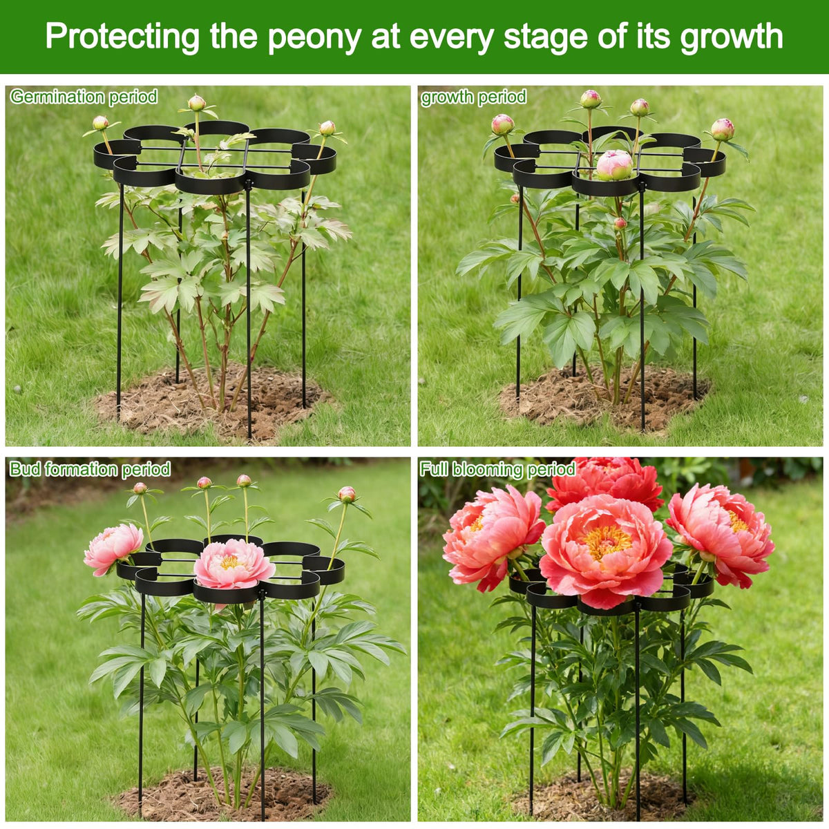 GOOOXIM 25" Peony Cages and Supports - Elegant Black Modern Flower Support Stakes for Peonies & Dahlias - Designed for Stability & Growth - Perfect for Gardens & Patios
