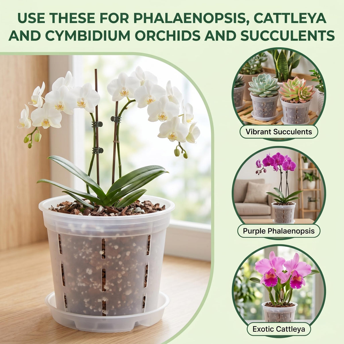 12 Packs Plastic Orchid Pots with Holes, 4, 5, 6 Inch Clear Orchid Pots for Repotting with Saucers Drainage,Hook,Hanging Rope and 6.7/10.6 inch Plant Stakes, Breathable Orchids Planter Plant Pot