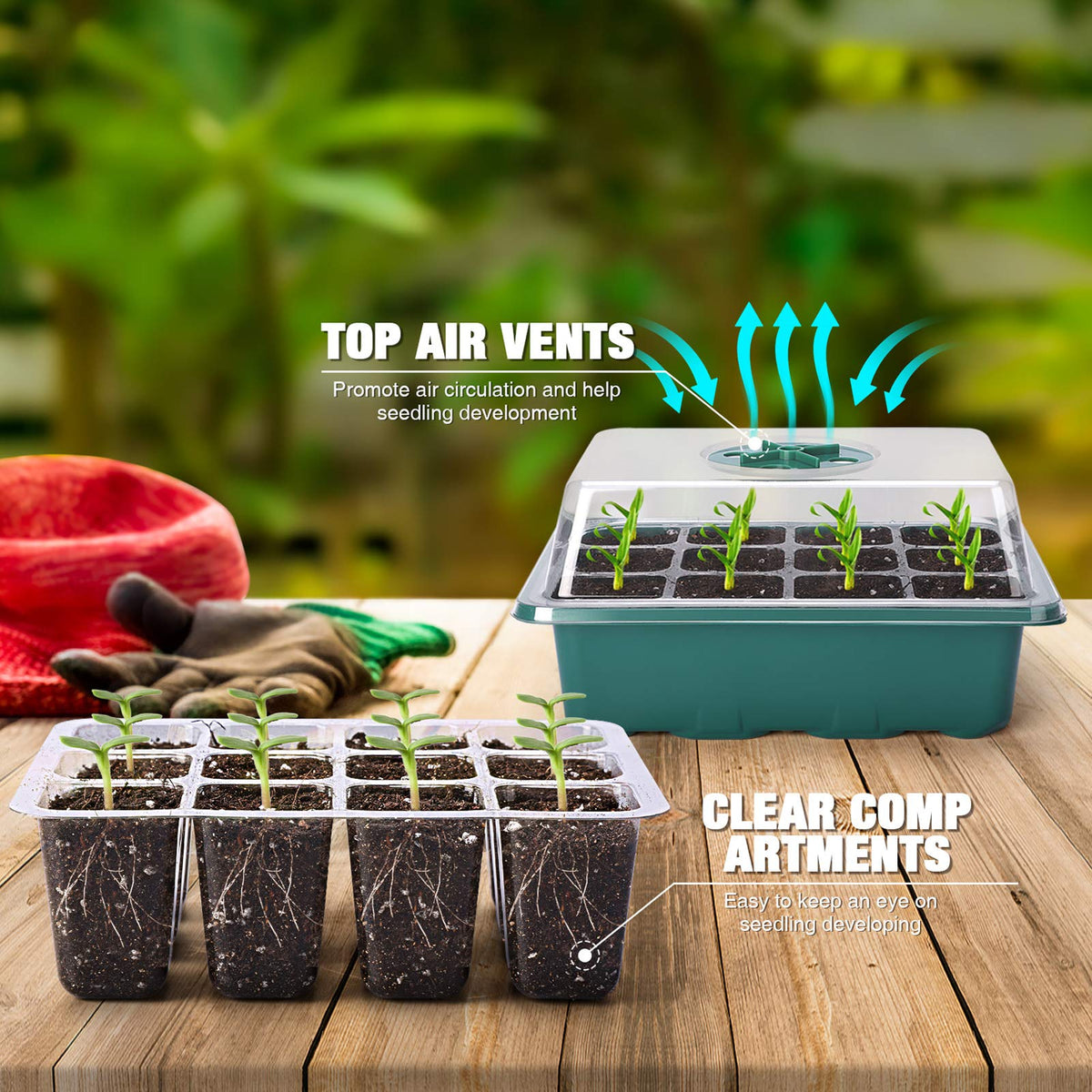 Delxo 10-Pack Seed Starter Kit Seedling Starter Tray (12 Cells) Humidity Adjustable Plant Germination Kit Garden Seed Starting Tray with Dome and Green Base Plus Plant Tags Hand Tool Kit