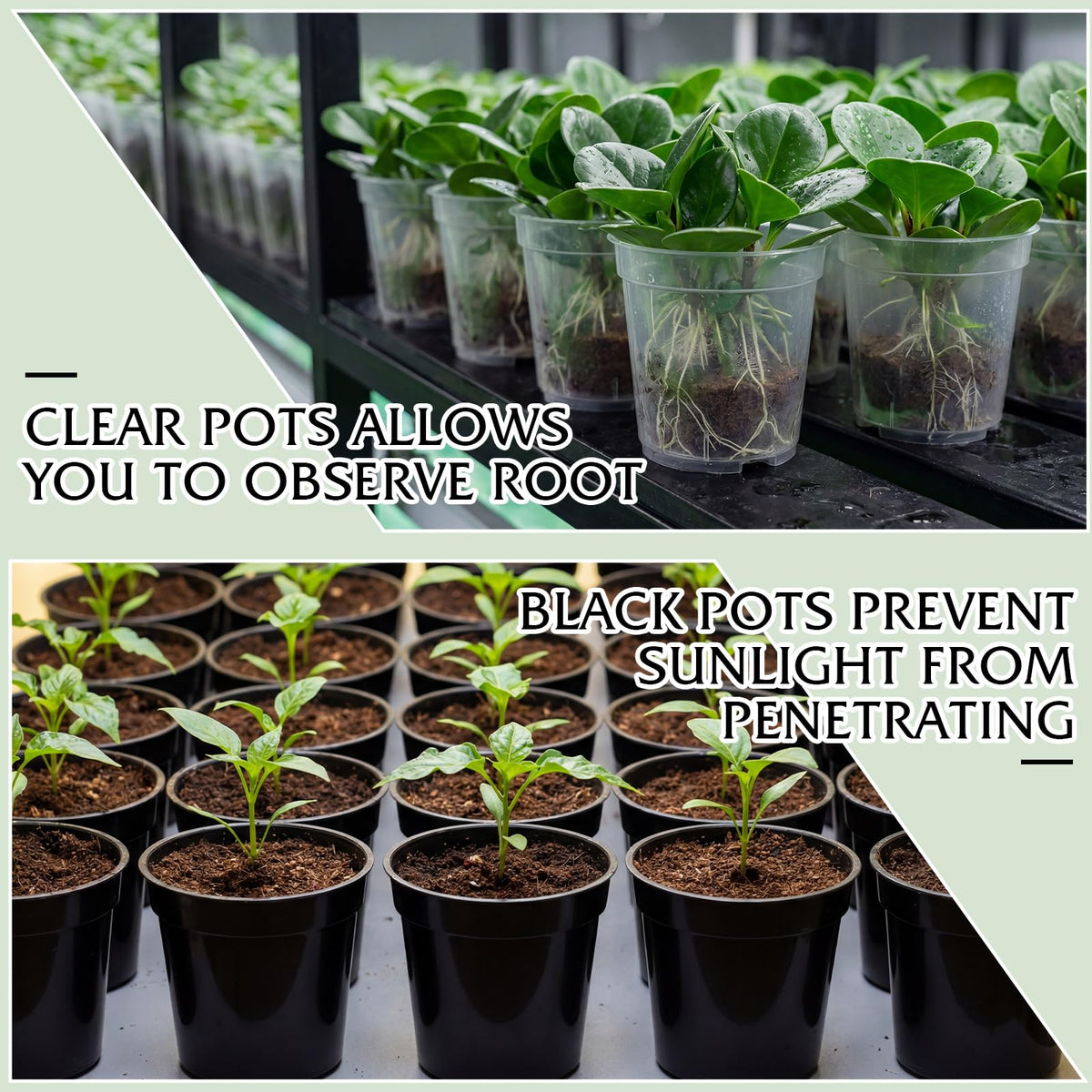 Sliner 200 Pcs 2 Inch Plastic Nursery Pot Mini Seedling Planter Flower Planting Pots Plastic Planters with Drainage Holes for Outdoor Indoor Flower, Starting Seedlings, Black, Clear