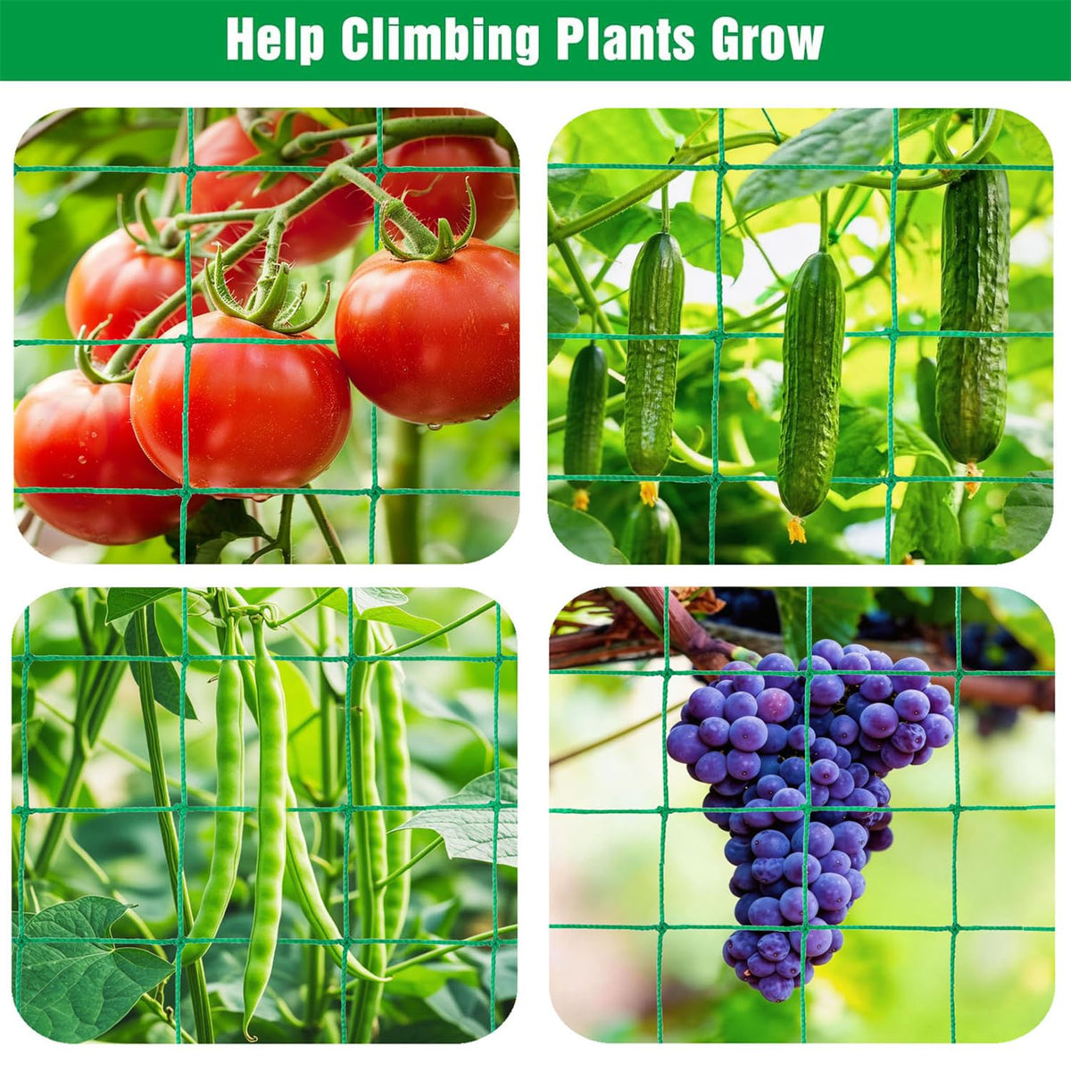 Trellis Netting for Climbing Plants, 6.6x26.3 FT Heavy Duty Garden Trellis Net with 27 Strands Nylon for Cucumber, Grape, Vine, Vegetables, Flowers, Bean, Tomato Grow Trellis Net (Green, 1 Pack)
