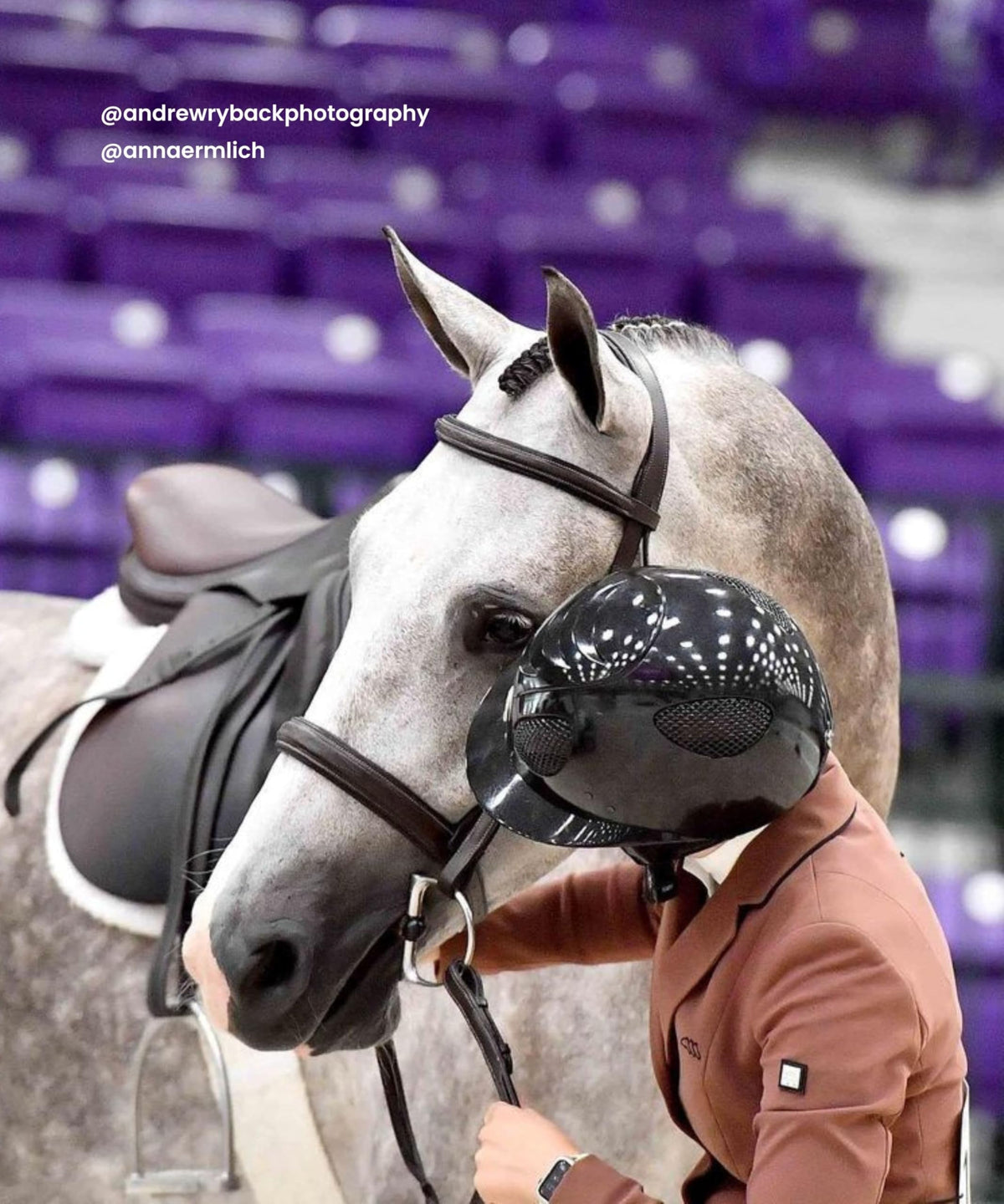 Exion Hunter Anatomic English Bridle – Padded Fancy Stitched Leather Bridle with Rubber Reins – Ergonomic Poll Relief Crownpiece for Jumping & Eventing – Stainless Steel – Havana Brown