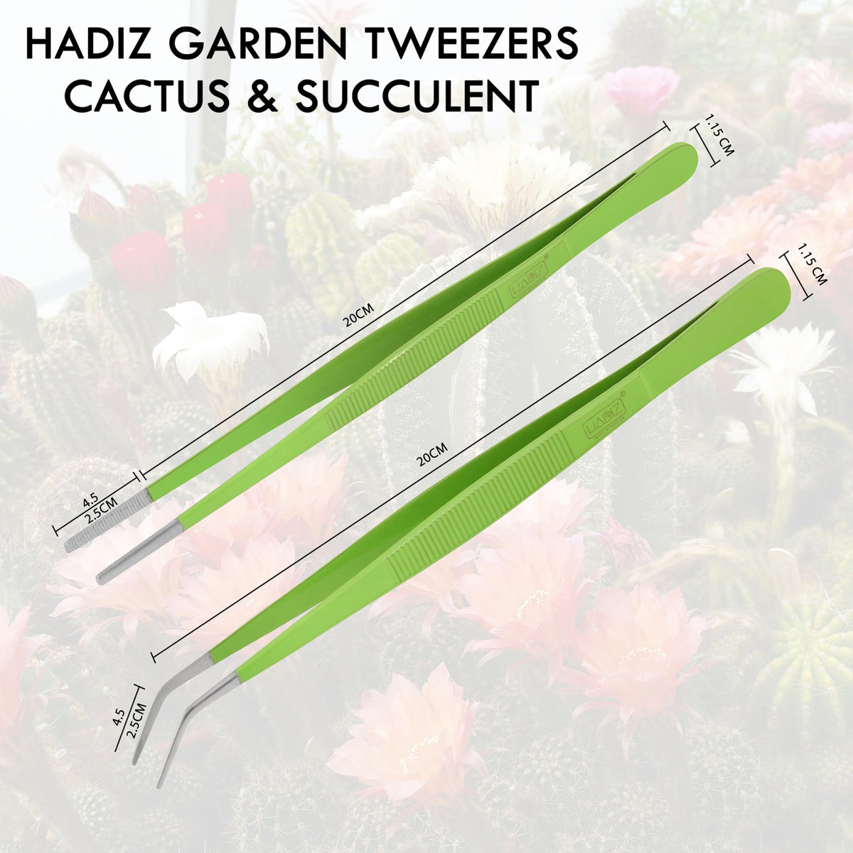 HADIZ Stainless steel Garden Tweezers Two Piece Set For Catus and Succulents 8 Inch Size (Straight & curved)