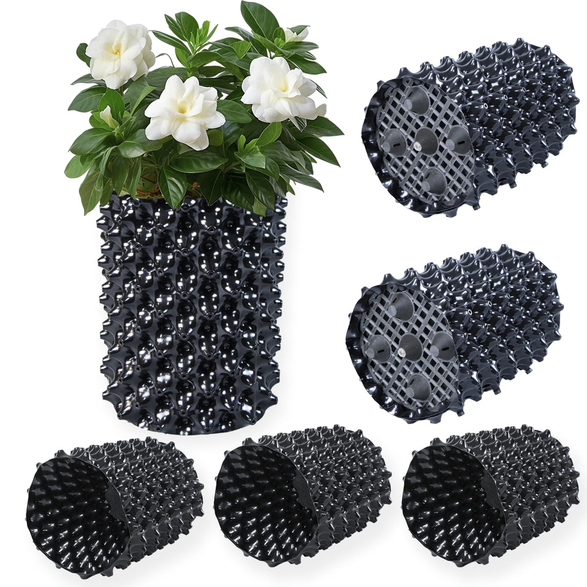 Plant air pruning pot, honeycomb porous structure design, improve root system development, prevent decay, suitable for flowers/vegetables/seedlings, farm planting solutions (Black, 8inches-3G-6P)