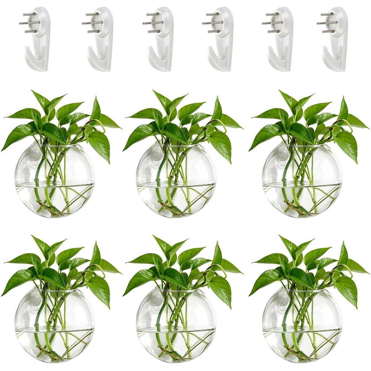 NUPTIO Wall Hanging Planter Terrarium: 4 Inch Glass Air Plant Holder 6PCS Propagation Indoor Floral Vase Flat Round Hydroponic Container Wall-Mounted Floating Pots for Bathroom Balcony Greenhouse