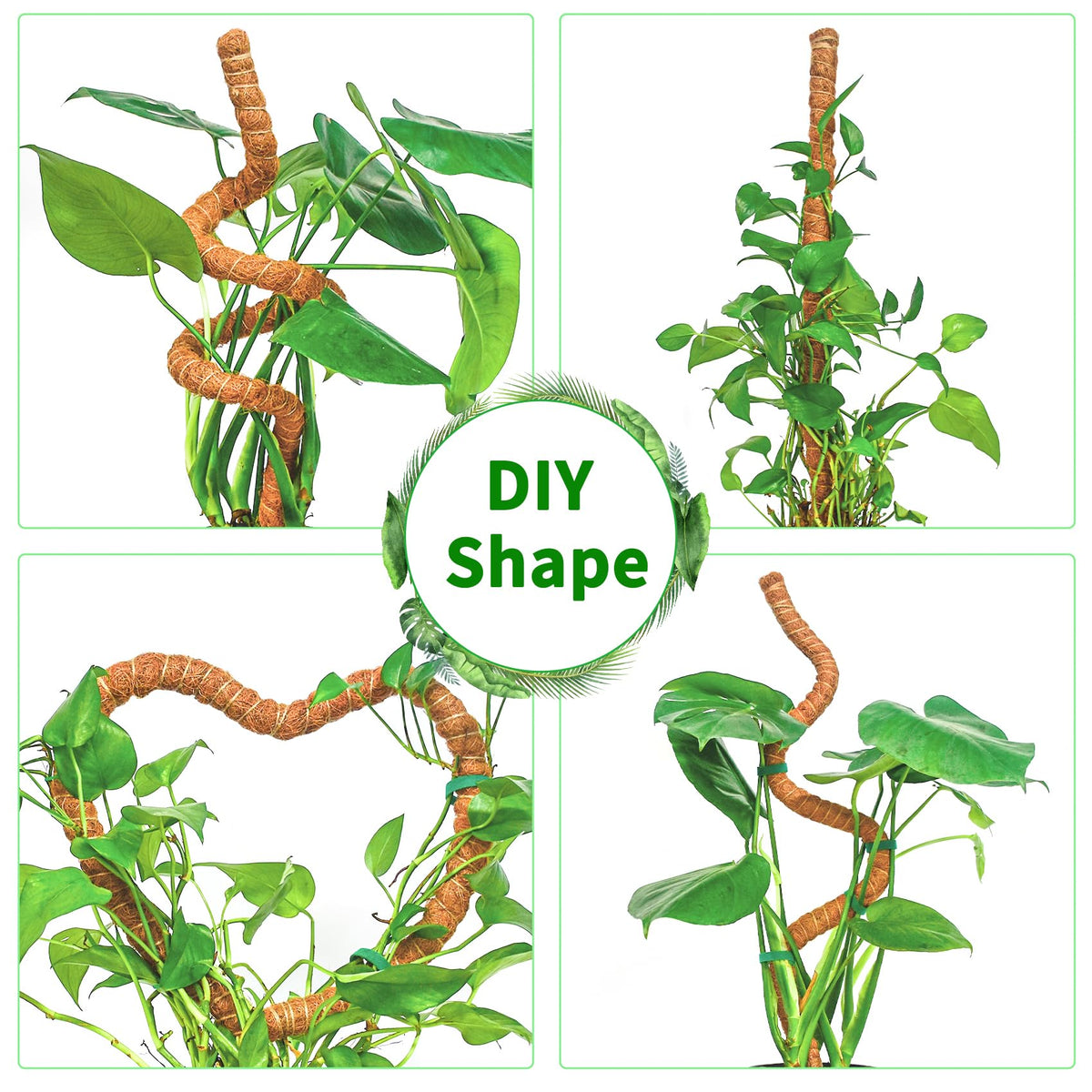 Dimpoo 2 Pack 39 Inch Moss Pole Monstera Plant Support, Coir Moss Poles for Climbing Indoor Plants, Bendable Plant Stake Trellis for Potted Plant, Pothos, Philodendron