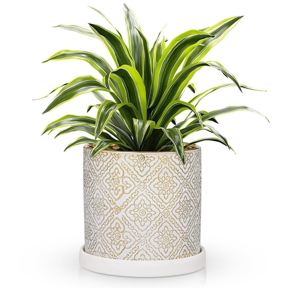 Ceramic Plant Pots with Drainage Hole & Saucer, White & Gold Ceramic Planter Pot for Indoor & Outdoor Use, 5.5" Small Plant Pots Decorative Flowerpots for Succulents, Herbs, Cactus, Orchids Planter