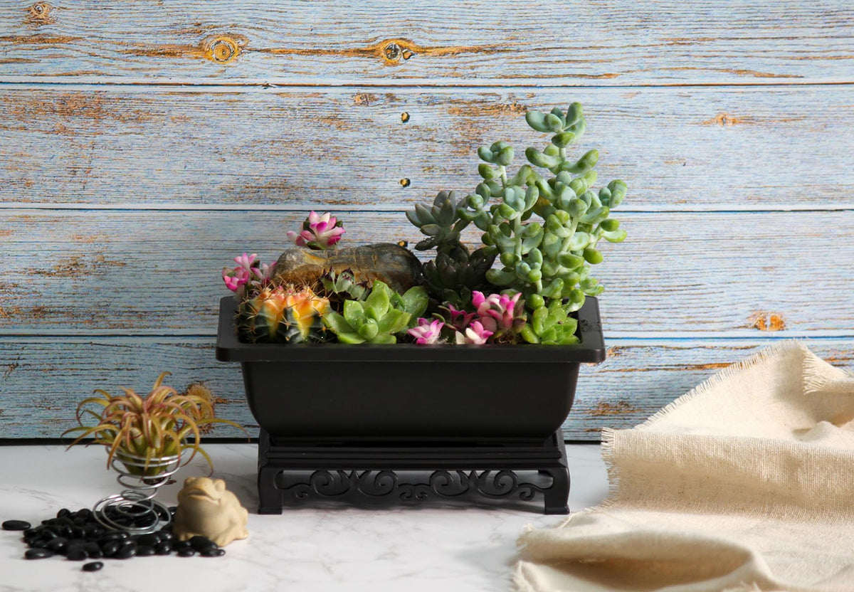 Cotta Planters Bonsai Pots 7.5 Inch Antique Brown Bonsai Training Pots with Elegant Stand 2-Pack with Mesh Drainage Luxurious Indoor Recycled Plastic Planters