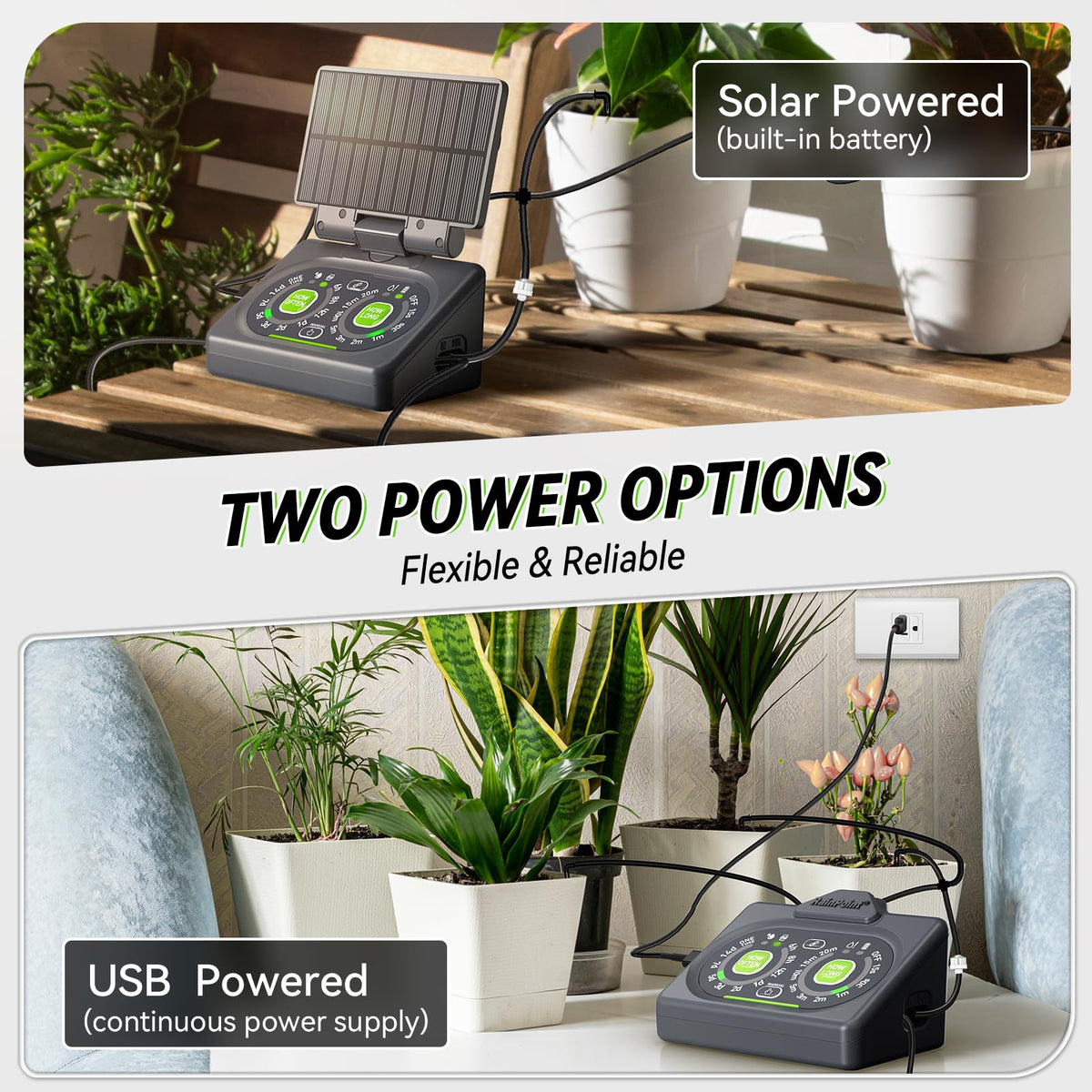 RAINPOINT Programmable Drip Irrigation System for Indoor Houseplant,Compact Dual-Powered Vacation Automatic Plant Waterer Self Watering Device While Away Low Water Auto Shut-Off (Water 10-15 Plants)