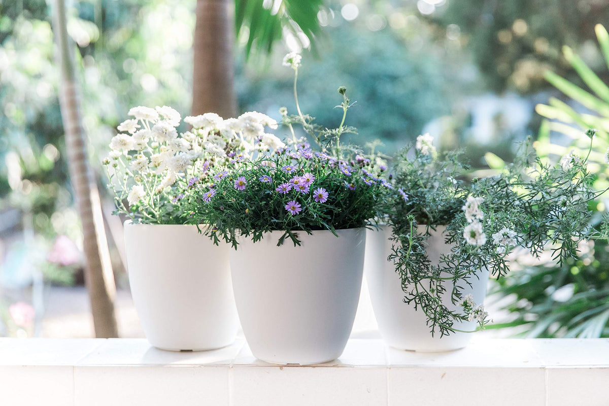 GARDENIX DECOR Self Watering Pots for Indoor Plants 3 Pack - Flower Pot with Water Level Indicator for Plants, Grow Tracking Tool - Self Watering Planter Plant Pot - Coco Coir - White