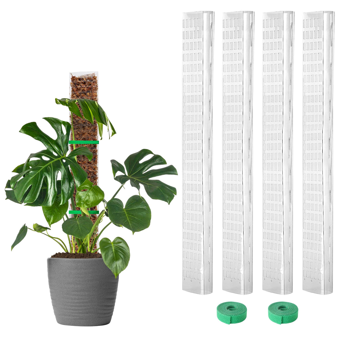 EOX 4 Pcs 24 Inch Plastic Moss Pole for Monstera, Large D Shaped Poles for Climbing Plants Work with Sphagnum Moss, 90 Inch Plant Stake Set of 4, Garden Ties