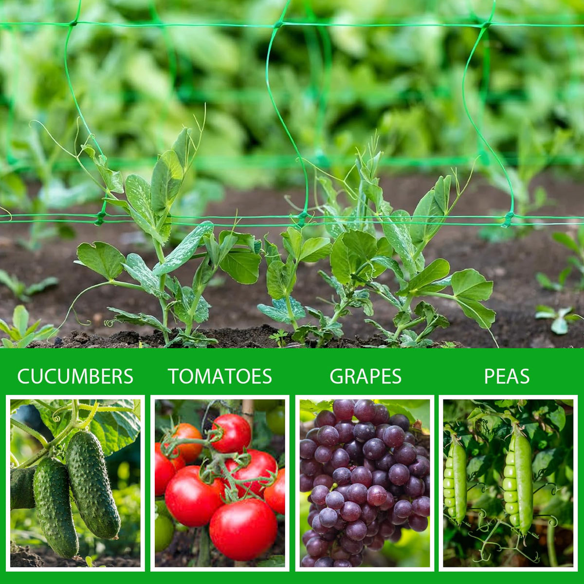 Toolazy Trellis Netting 79" x328' Green - Heavy Duty 6" Mesh Plant Support Net for Climbing Vegetables, Garden Trellis Roll for Tomato Cucumber Pea Bean Vine Grow Tent Scrog Hydroponic Use