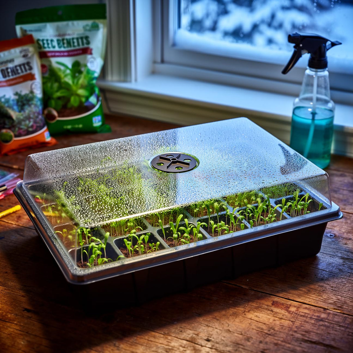 24XL Cell Seed Starter Tray with Dome, 5-Pack 2" Plug Seedling Trays (Total 120 Cells), Plant Germination Tray with Humidity Vented Lid and Base, Mini Propagator Plant Greenhouse for Seed Growing