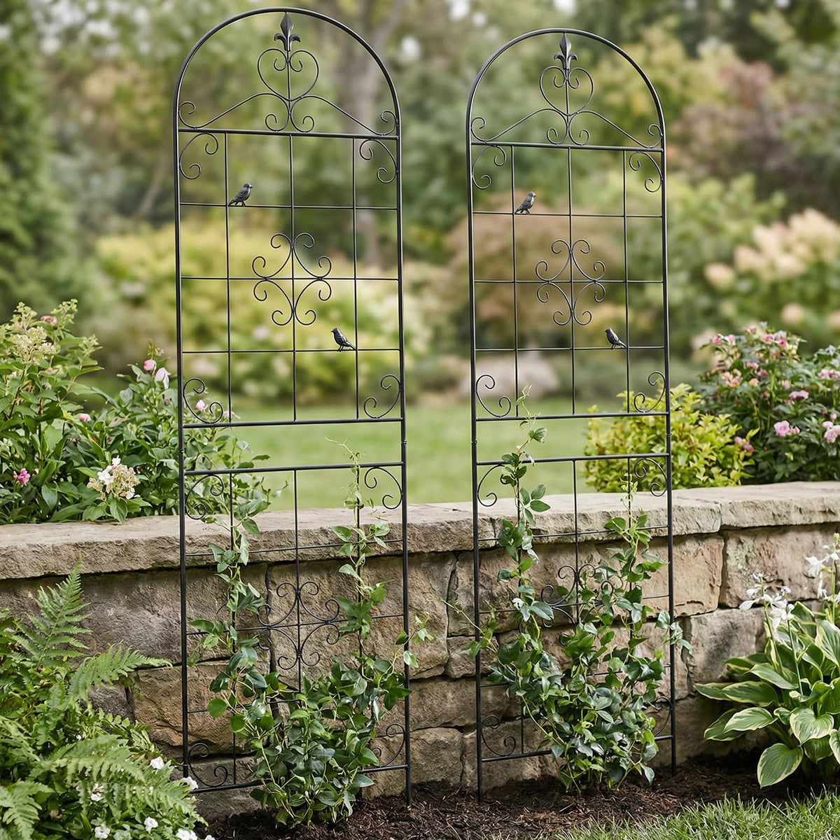 Garden Trellis for Climbing Plants Outdoor, Maidapulu 2 Pack 70.8x19.6 Inch Black Metal Trellis - Rustproof Lattice Support Panel with Easy Assembly for Roses, Clematis, Cucumbers, Vegetable Garden