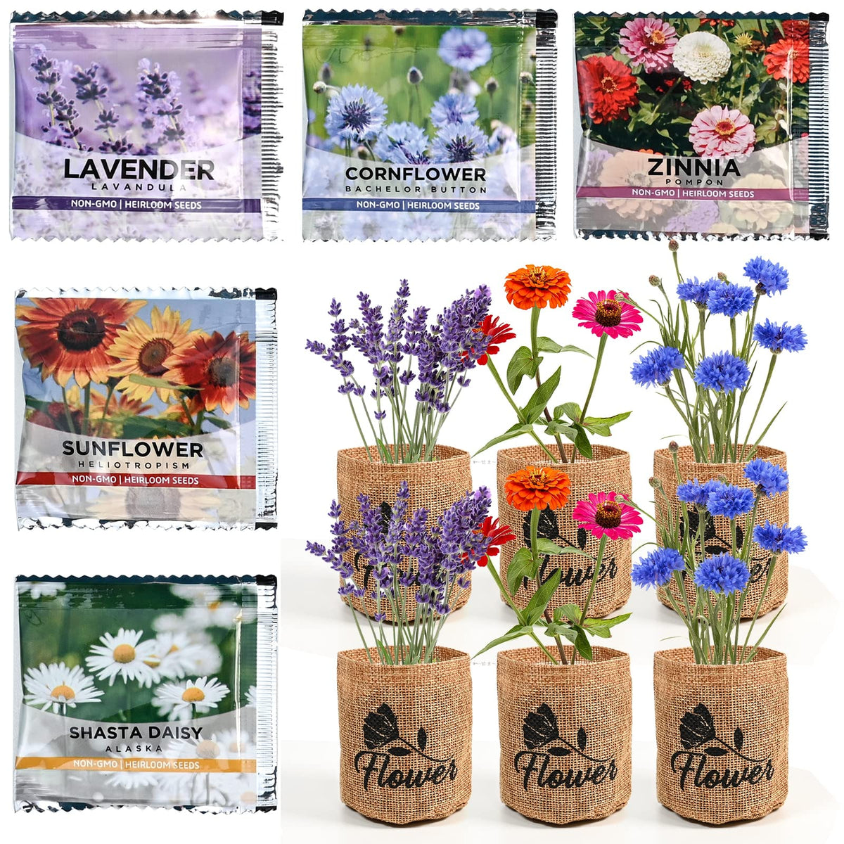 Indoor Daisy Garden Starter Kit with Gardening Tools - Planter Bags, Markers, Soil Disks and Shears, Home Gardening Gifts for Women Men Plant Lovers