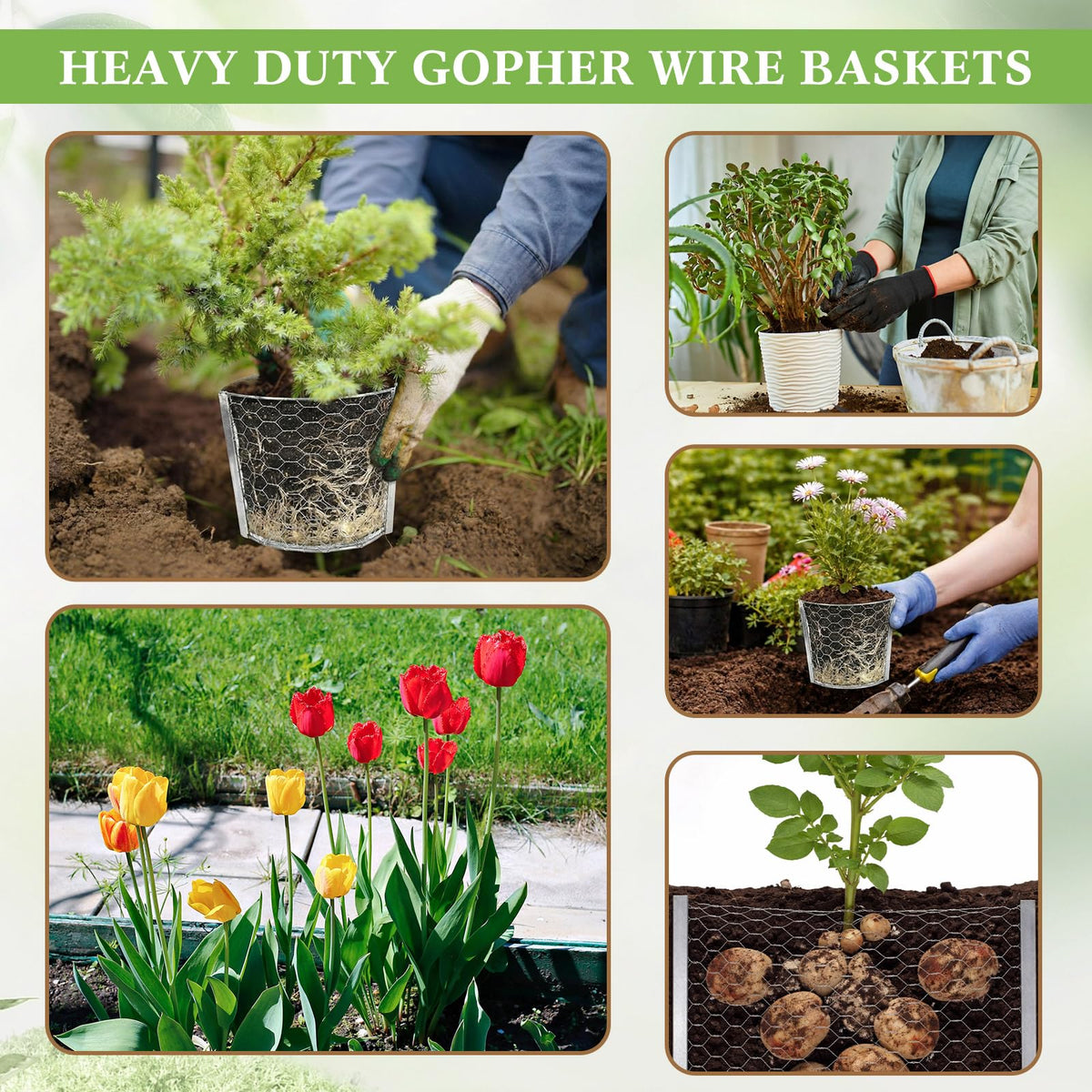 Yaocom 12 Pcs 1 Gallon Heavy Duty Gopher Wire Baskets Stainless Steel Hexagonal Galvanized Mesh Cages Gopher and Vole Wire Basket for Shrubs Vines Bushes Plant Root Protection