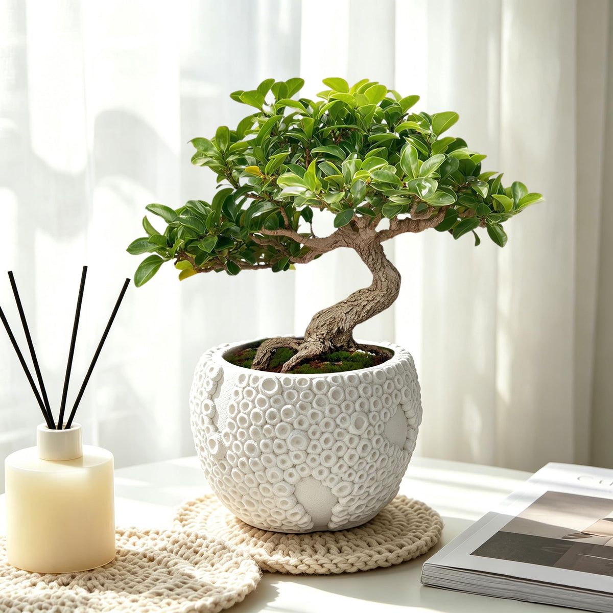 Small Ceramic Bonsai Pot with Drainage Hole, 4 Inch Decorative Bonsai Planter Pot with 3D Coral Texture, Small Ceramic Pots for Plants, Succulents, Cactus, Herbs, Mini Bonzai Tree, Flower Pot, White
