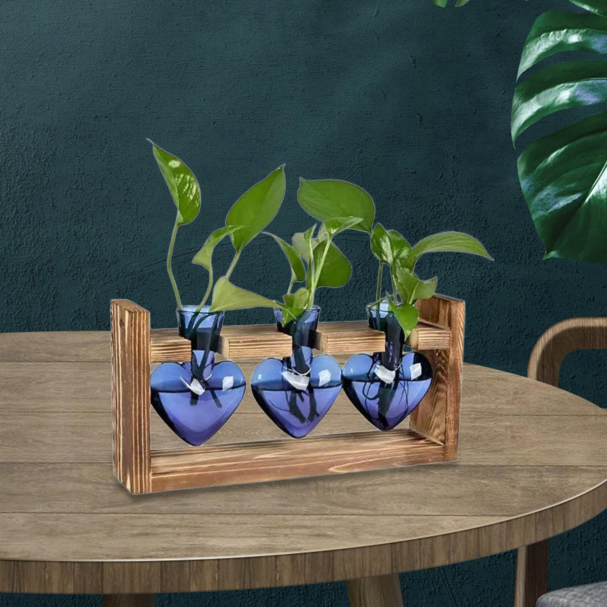 BooGaeio 3 Pieces Hydroponic Vase Glass Flower Vase with Wooden Stand Tabletop Planter Plant Terrarium Decorative Vase Multipurpose Plant Propagation, Blue
