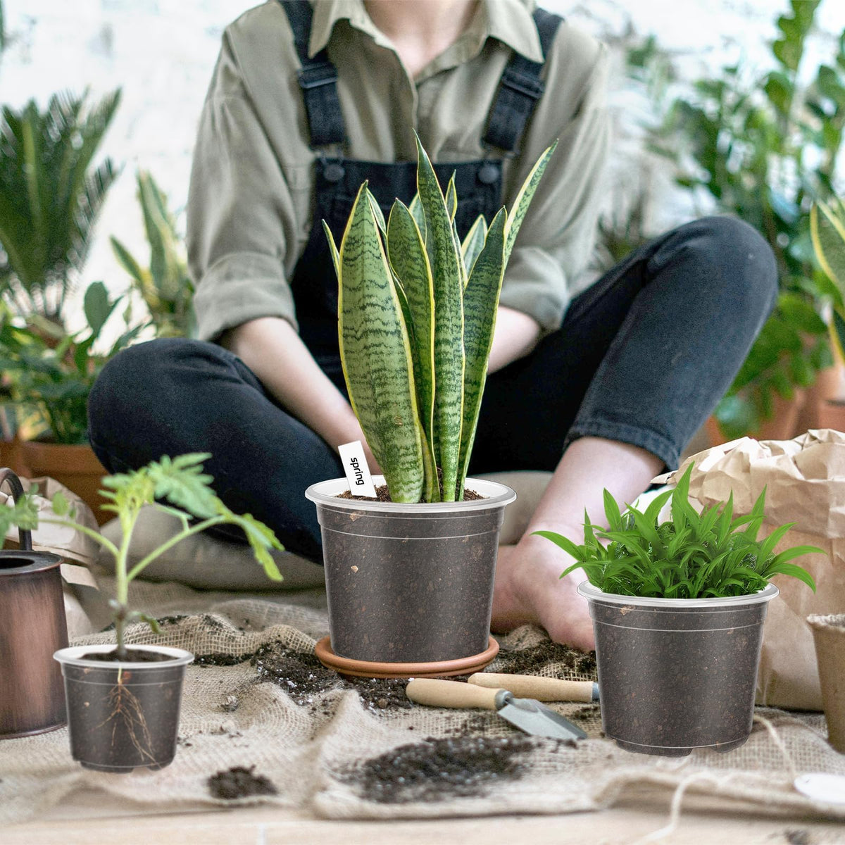 VOKOY 40 Pack 5/4/3/2.75 Inch Clear Nursery Pots with 40 Plant Labels, Clear Plant Pots with Drainage Hole Plastic Transparent Variety Pack Garden Flower Seedling Pot Small Planter Containers