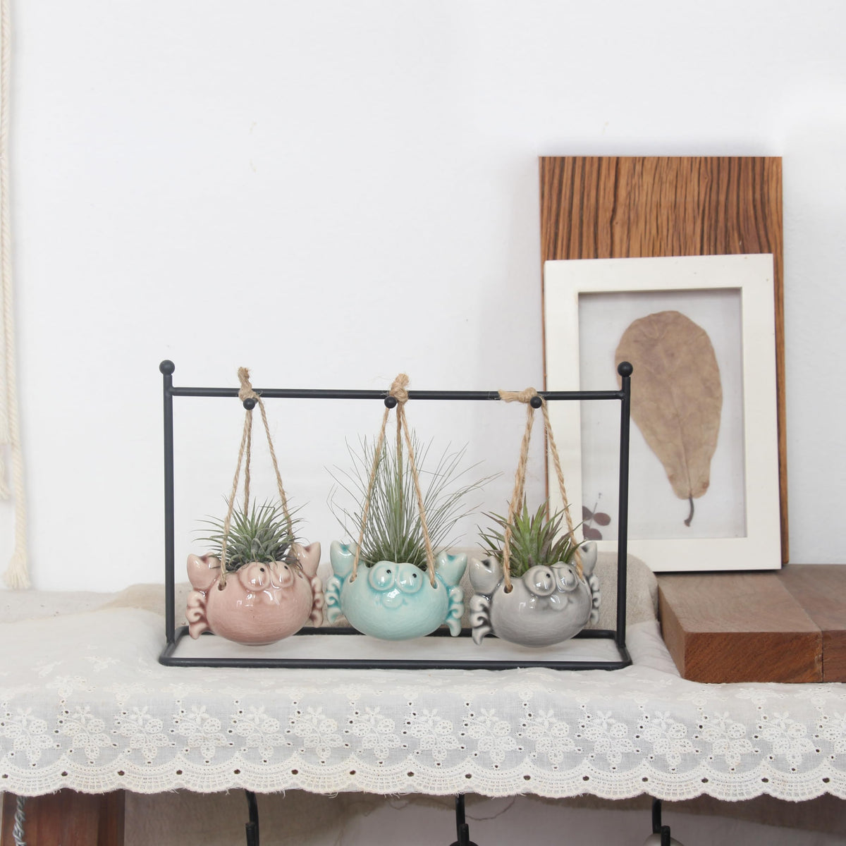 Gniliny 8 Pack Ceramic Air Plant Cradle with Rack: Indoor/Outdoor Hanging Planters - Air Plant Display Container for Home Office Garden