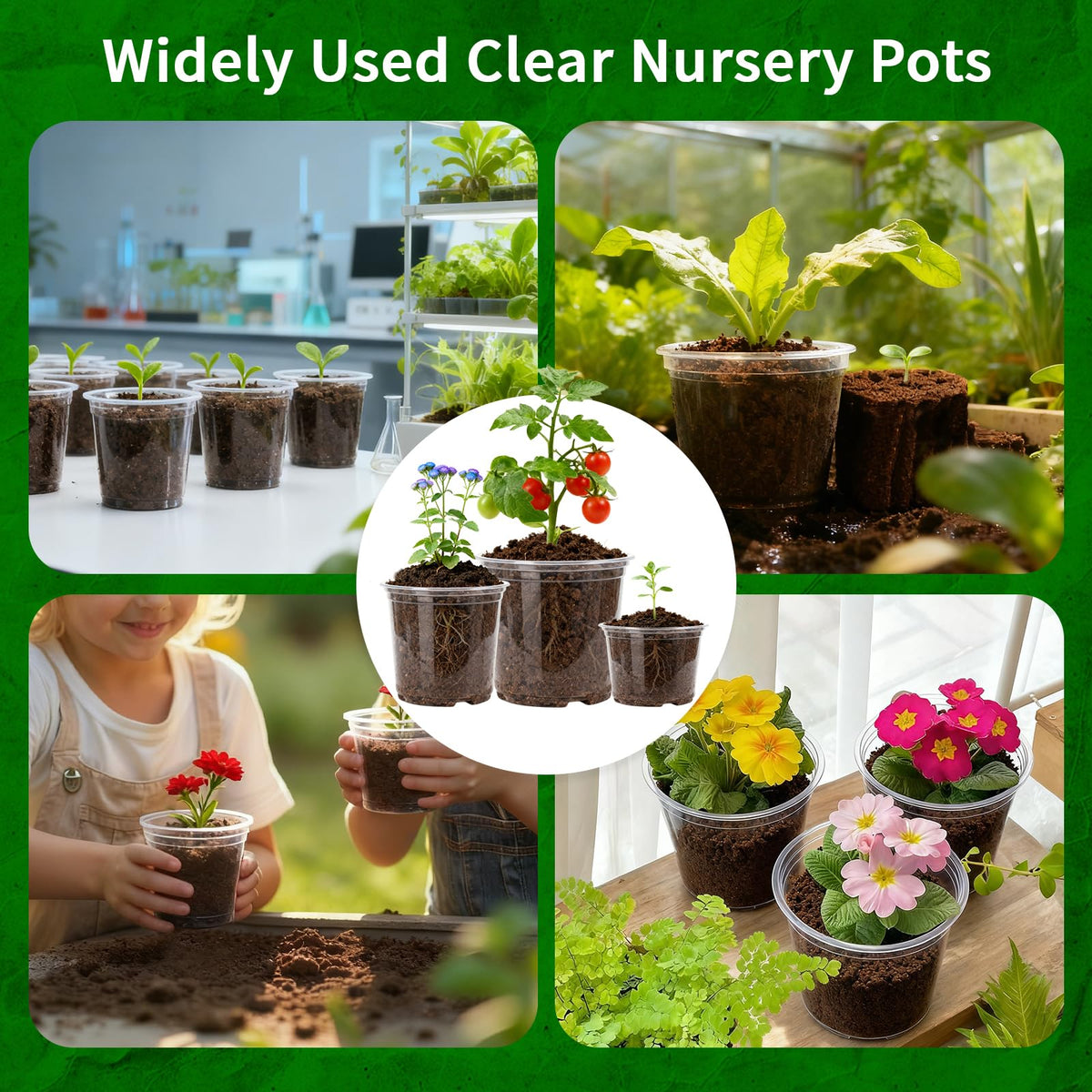 Plgardpo Clear Nursery Pots, 4/5/6 Inch Transparent Plastic Plant Pots with Drainage Holes, Variety Pack Seed Starting Pots, Clear Flower Pots for Indoor Outdoor Plants, 24 Packs