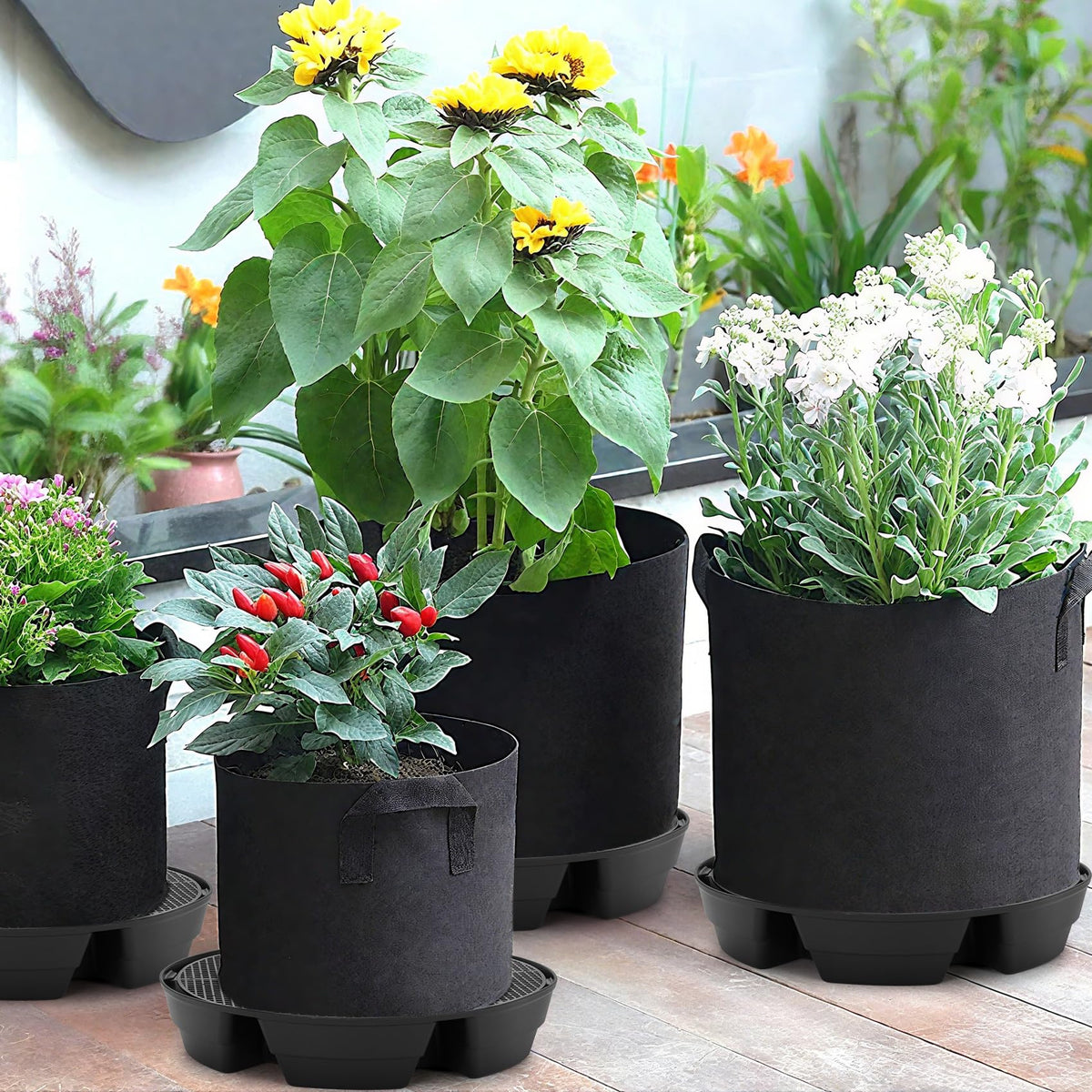 4-Pack Self Watering Fabric Pot Base, Auto Pots Fit for 5 Gallon Grow Bags, Auto-Irrigation Water Delivery System , Auto Watering Plant Saucer for Fabric Planters 3 Year Warranty (Capacity Upgrade)