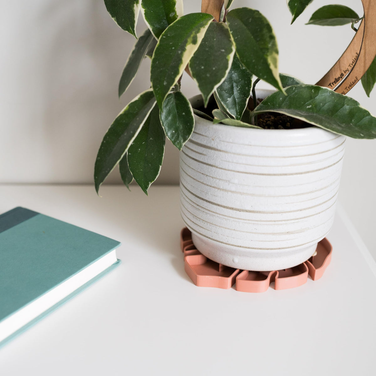 Treleaf Tera Sausr™ – 6" Monstera Leaf Plant Pot Saucer & Drip Tray (Set of 2) – Decorative Humidity Tray for Indoor Houseplants – 3D Printed Eco-Friendly Design - Green