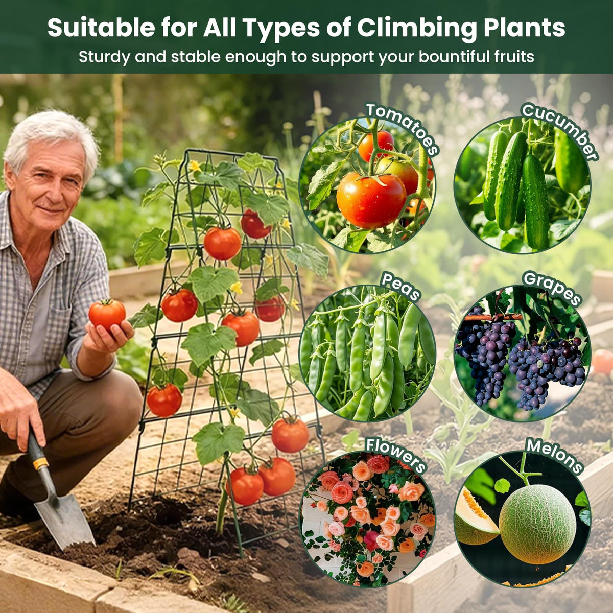 Cucumber Trellis, 48"x16" Adjustable A-Frame Trellis for Climbing Plants, Metal Foldable Upgraded Vegetable Trellis for Raised Bed, Support for Tomatoes, Squash, Zucchini, Vegetables & Flowers