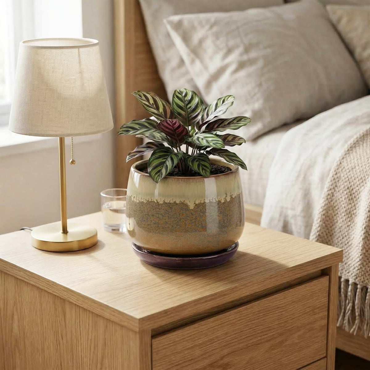 Fivepot 6 Inch Plant Pot - Ceramic Pots for Indoor Plants, Round Small Succulent Planter with Drainage and Saucer, Decorative Flower Pot, Office Room Decor, Gifts for Plant Lovers, Brown-Beige