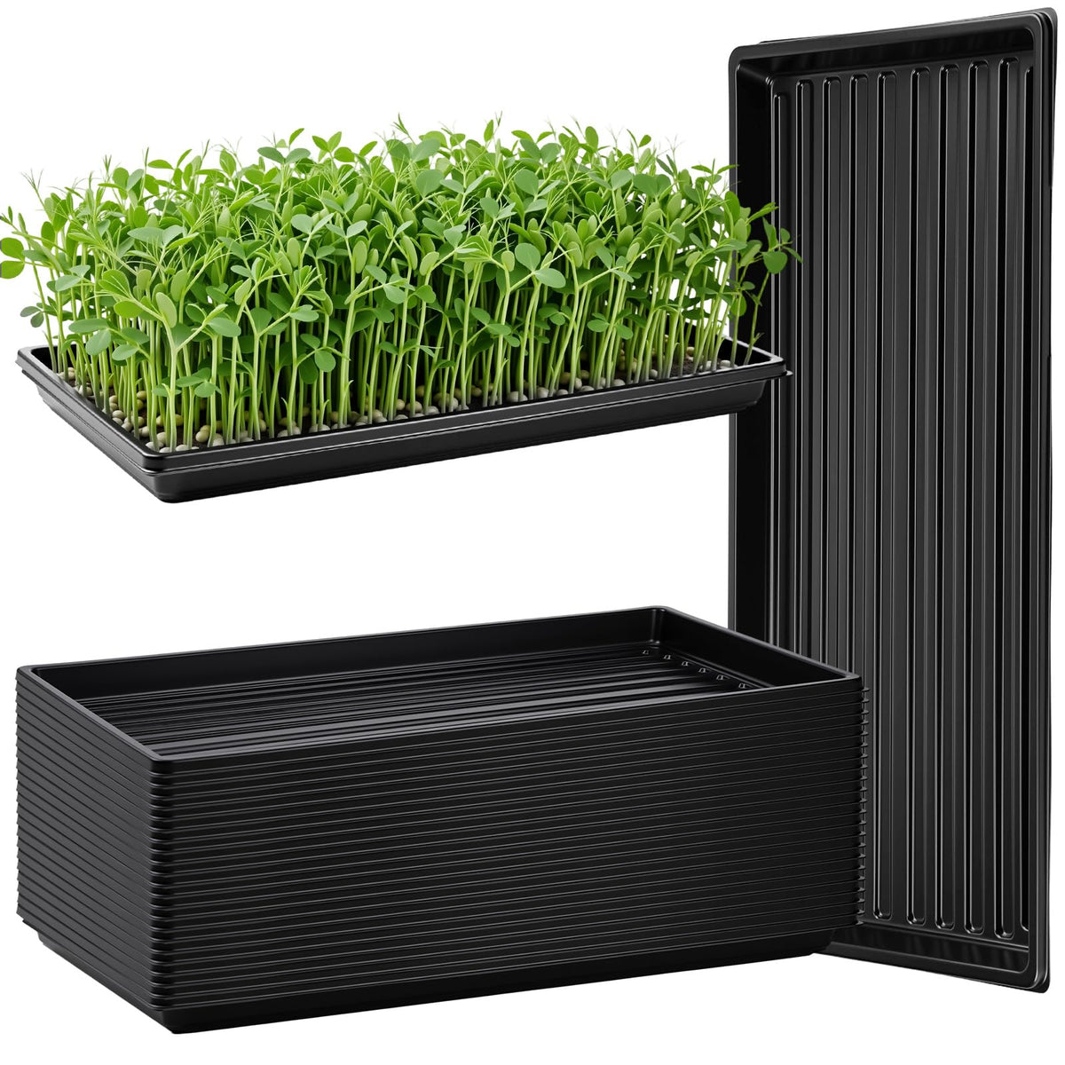 Vesici 20 Pack 1020 Seed Starting Tray Heavy Duty Plant Growing Flat Seedling for 72/128 Cell Plug Plant Nursery Tray No Hole Germination Transplant for Microgreens Gardening Greenhouse (L)